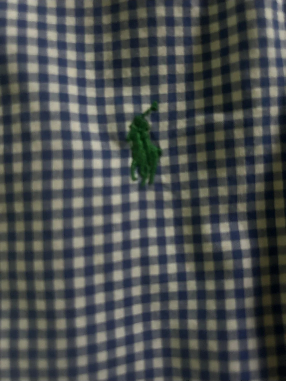 Ralph Lauren Boys 100% Cotton Blue Gingham Button-Down Shirt